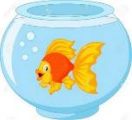 Описание: http://chicagohacksbig.com/images/fish-tank-illustration-aquarium-with-gold-fish-and-algae-clipart-12.jpg